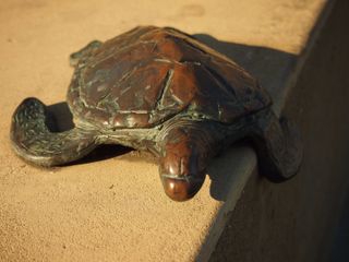 A bronze sculpture of a turtle, attached to a wall. The sculpture is covered in dark green verdigris, which is worn away in many places to reveal the natural orangey-brown of the metal.