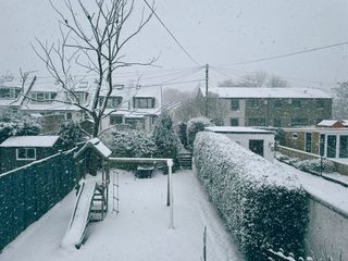 heavy snowfall on bare tree branches, with snow-covered rooftops in the background
